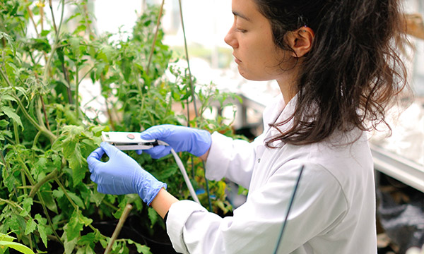 A student takes measurements from a leaf of a plant