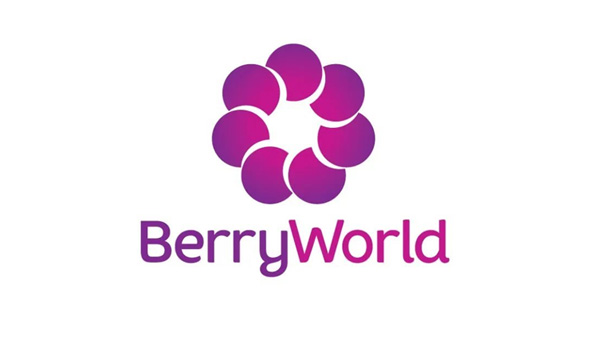 BerryWorld logo