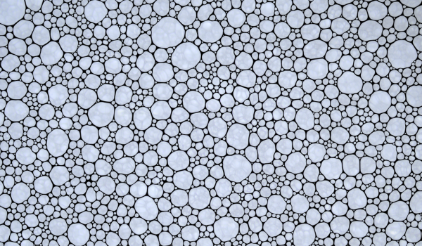 Fluid under a microscope