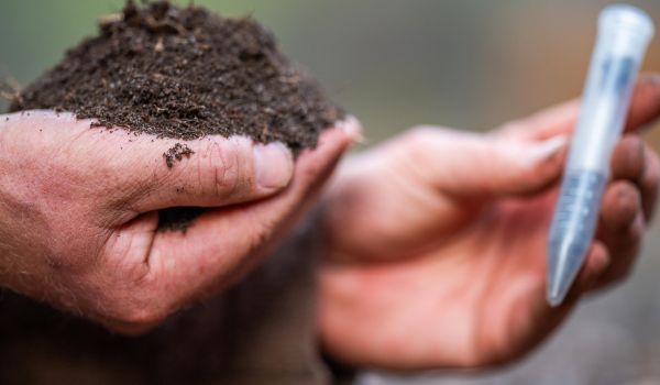 Someone conducting a soil test