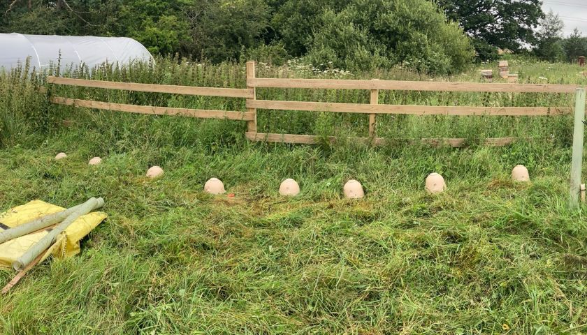 Testing versions of BeeBox