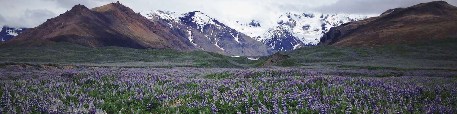 Mountains, with a meadow beneath them