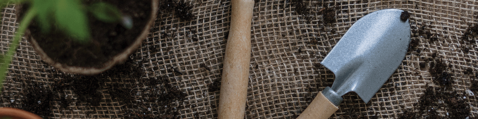 A trowel and a plant on hessian cloth