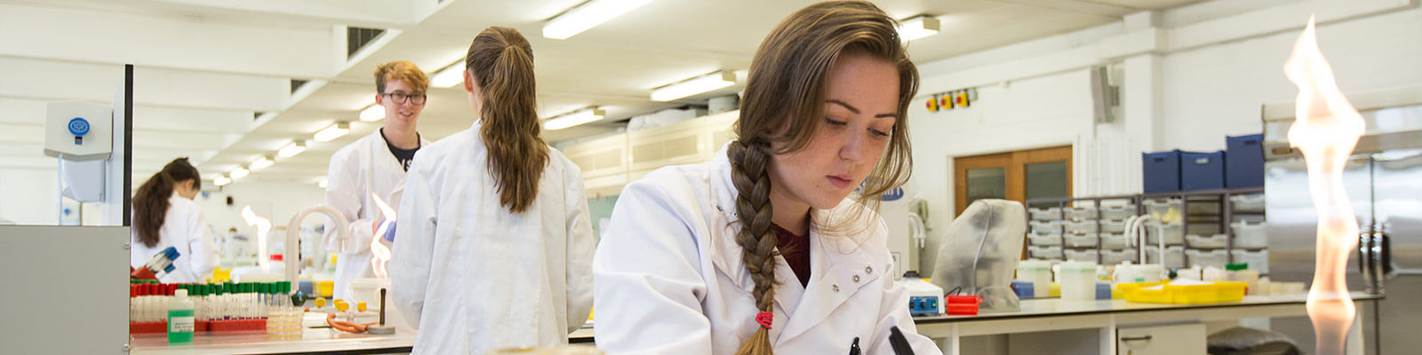 Students working in the biology labs