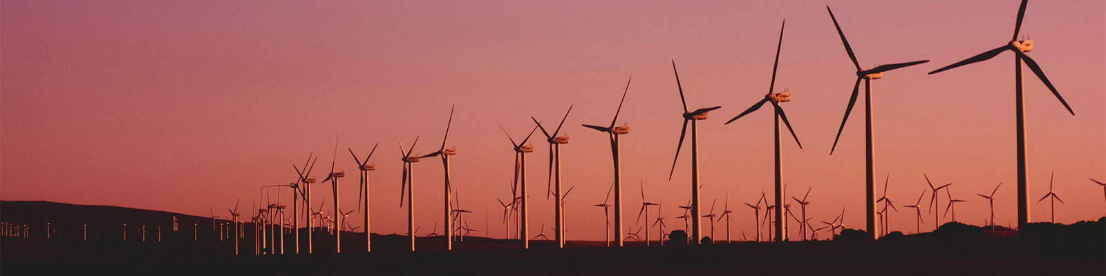 Wind turbines at sunset