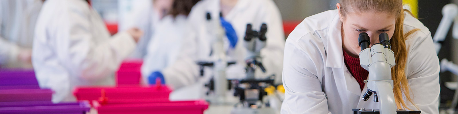 Students in a Biology laboratory