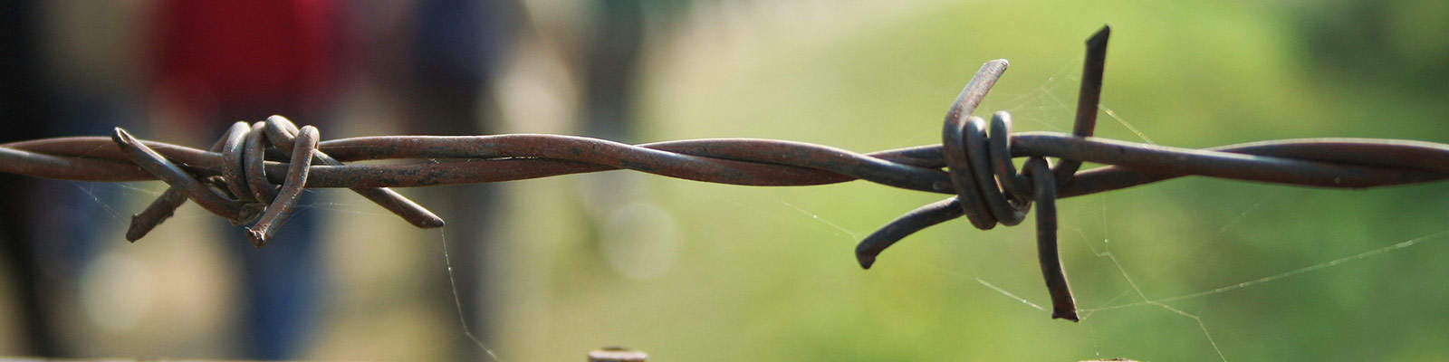 A barbed wire fence