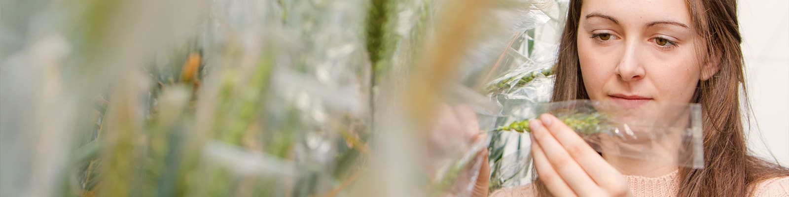 A student examines a growing plant