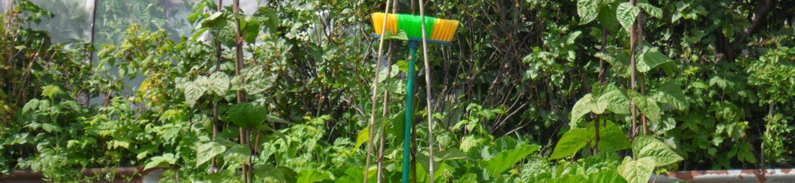 A brush stood on its end in amongst some bushes