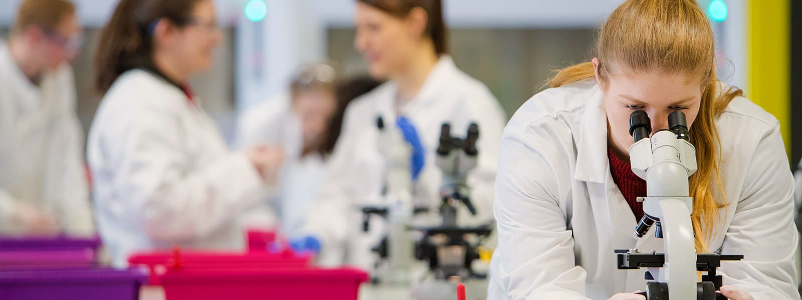 A student looking through a microscope