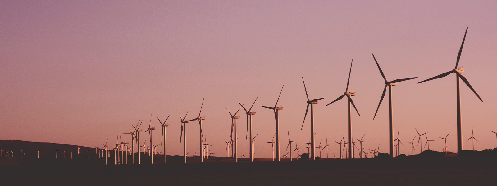 Wind turbines at sunset