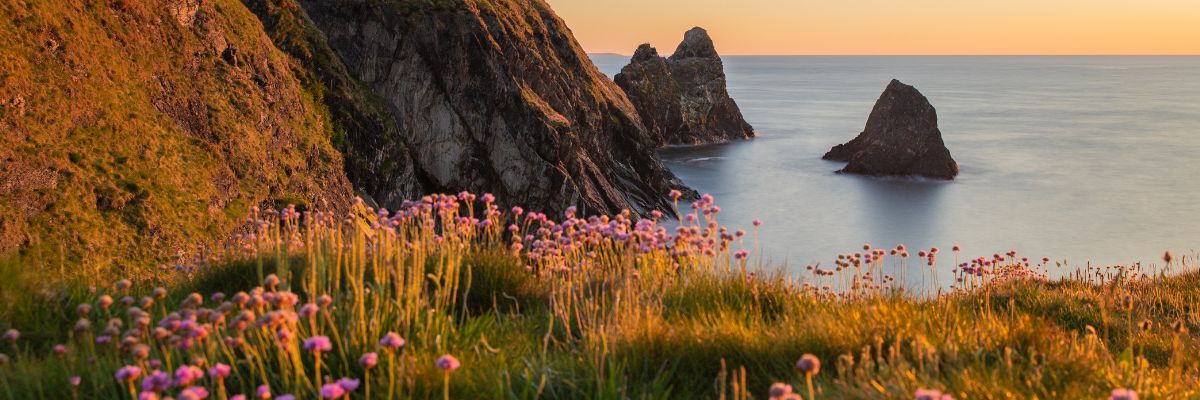 A coastal landscape