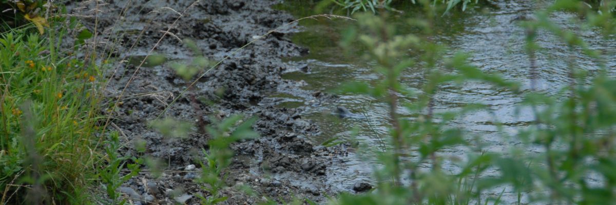 A muddy puddle