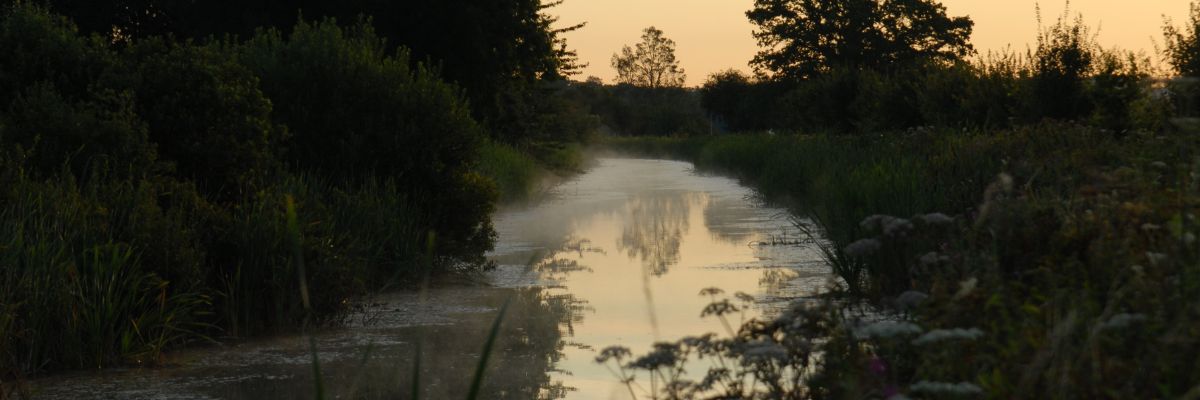 A river at sunset