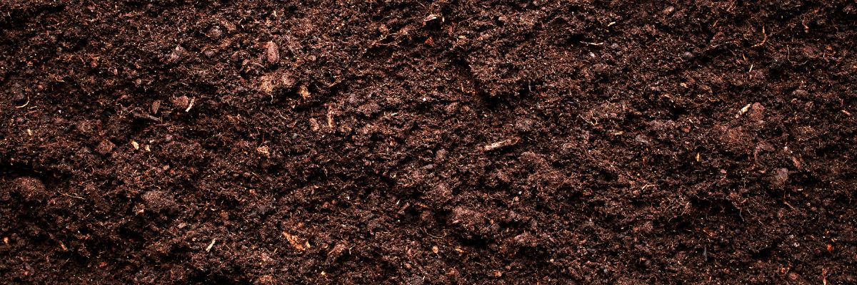 Soil