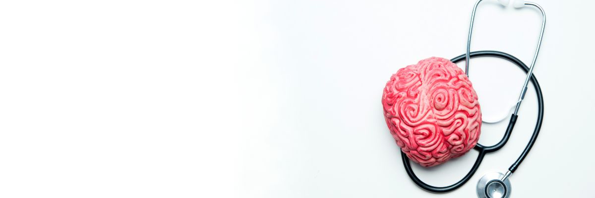 A model of a brain with a stethoscope 