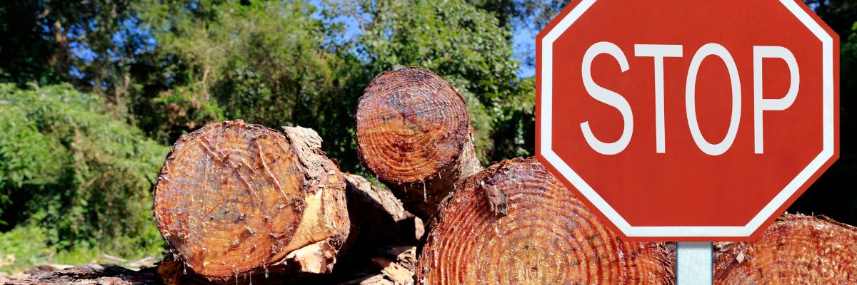 Politicans from different countries sat together