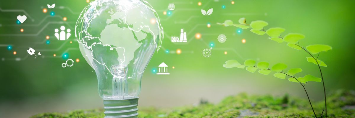 A lightbulb next to a plant