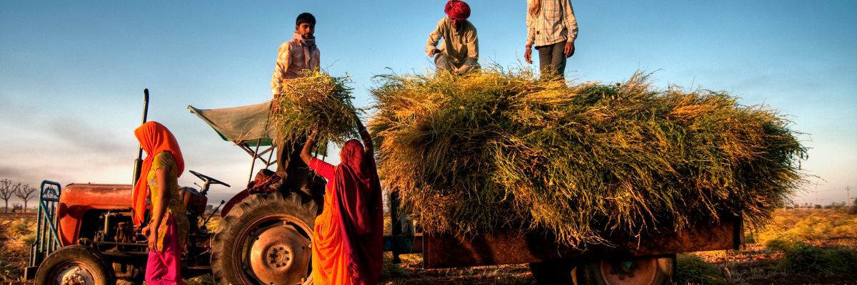 Farmers working in India
