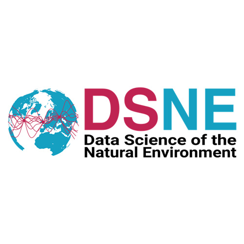 DSNE logo