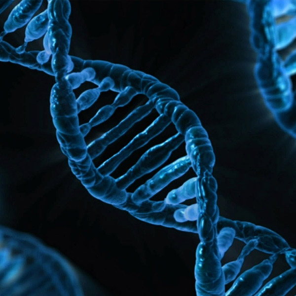 Image of a microscopic genome