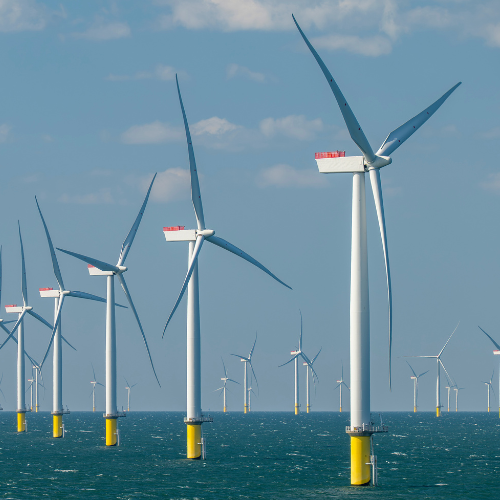 An offshore wind farm