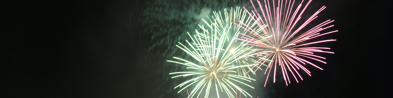 Fireworks in the night sky