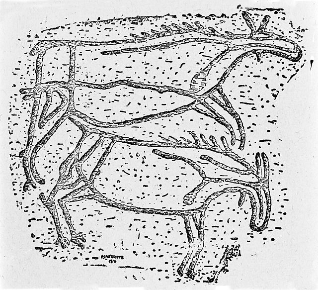 Poulton Elk
