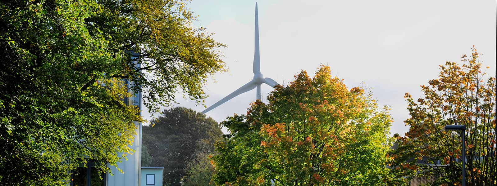 Campus skyline with Lancaster's wind turbine in the distance