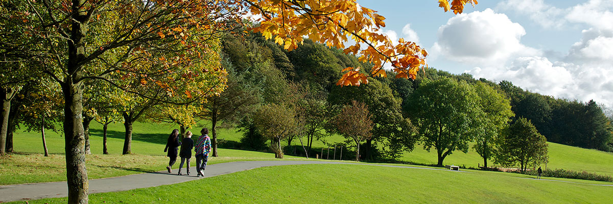 A group of students walk on a path across a grassy landscape, with autumnal trees.
