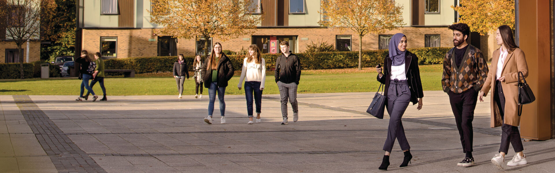 Students studying in the library by the library tree