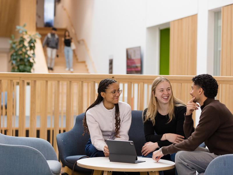 Three management school students having a discussion