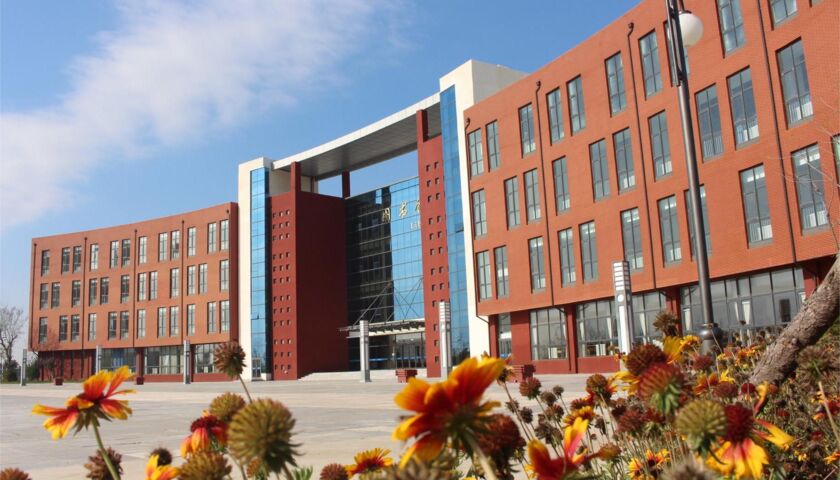 The Library