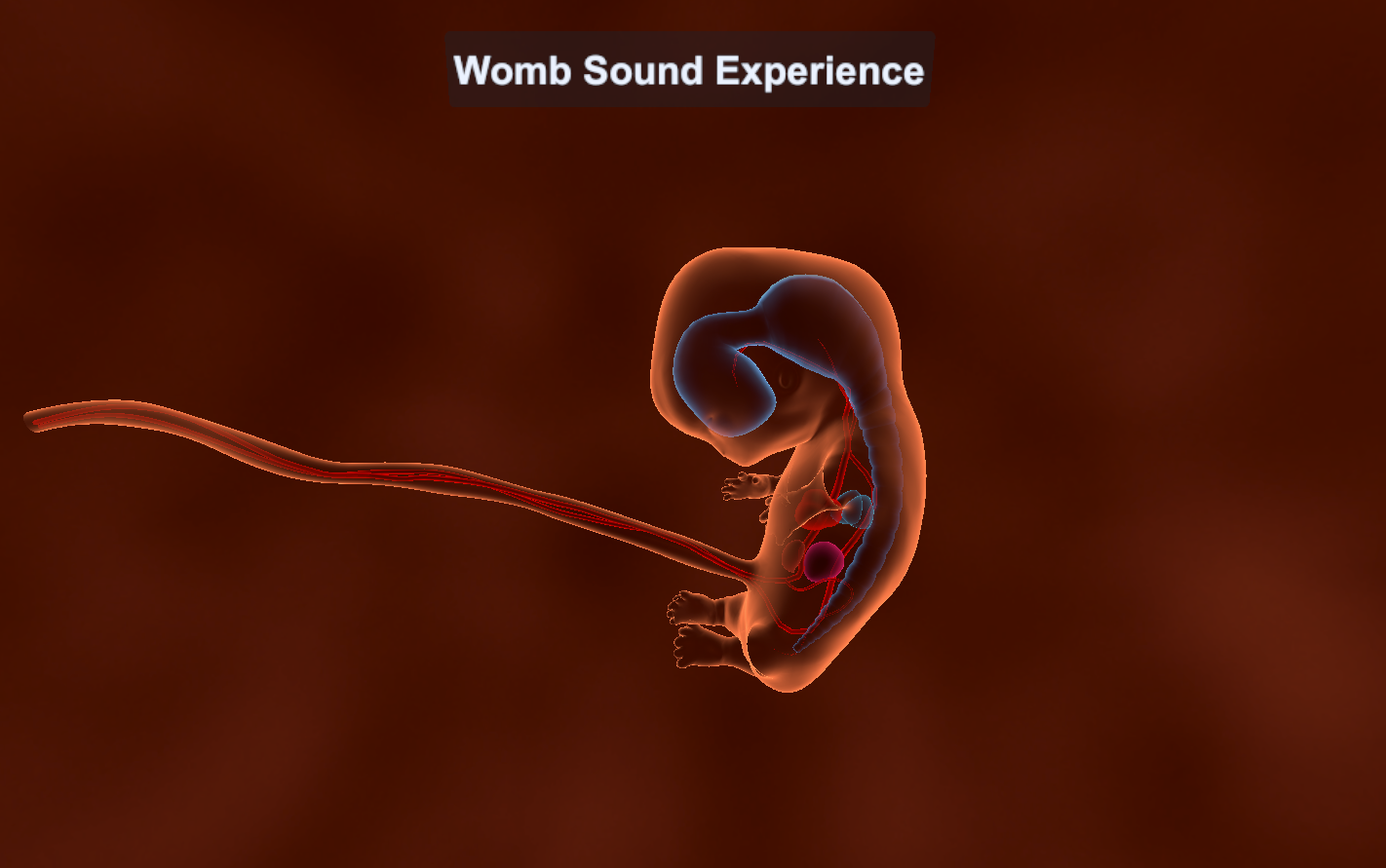 Baby in the womb as seen in VR