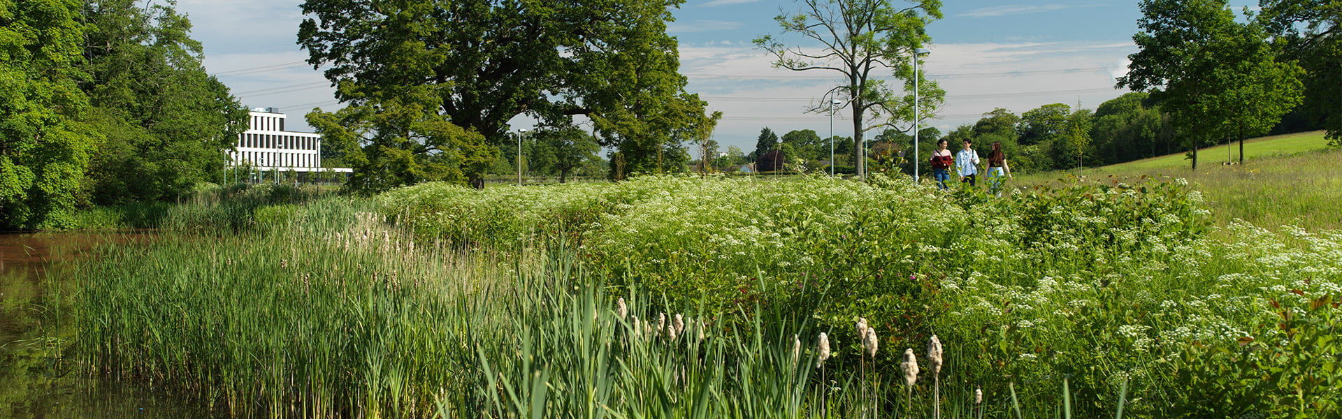 Students walk on the footpath beside the health innovation one campus and lake carter