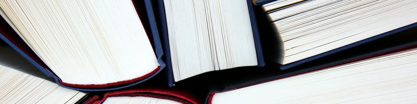 Books stacked against each other.