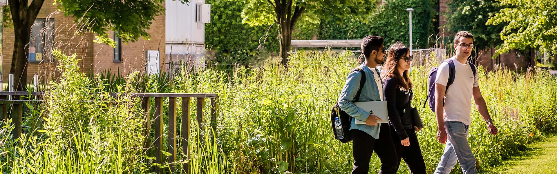 Students walking and chating in the green lush in the grounds of Lancaster University.