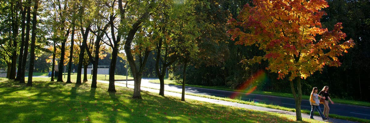 View looking down the hill at the front of campus with autumn leaves on the trees