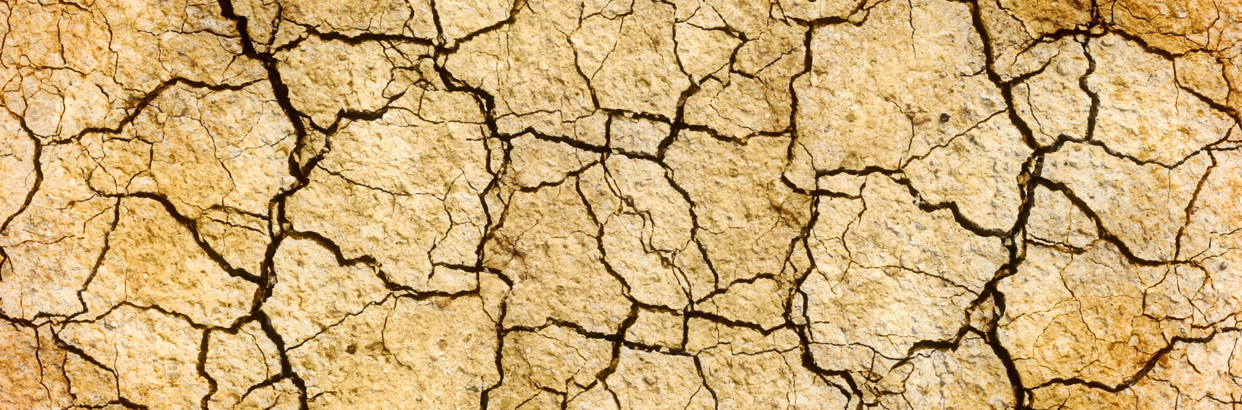 Cracked earth (https://pixabay.com/en/cracks-drought-earth-land-surface-656796/)