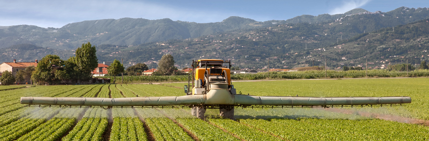 A scene of modern agriculture