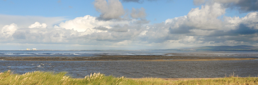 Birds at Heysham