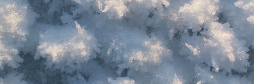 Frost flowers that have formed on the surface of fresh marine ice in the Polar Regions. This image was taken on ‘new’ ice in the Amundsen Gulf of the Canadian Arctic.