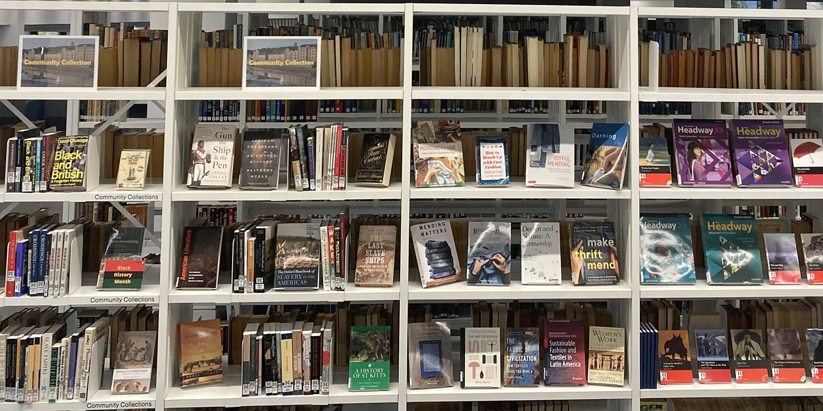 Image of books on a book shelf in the library