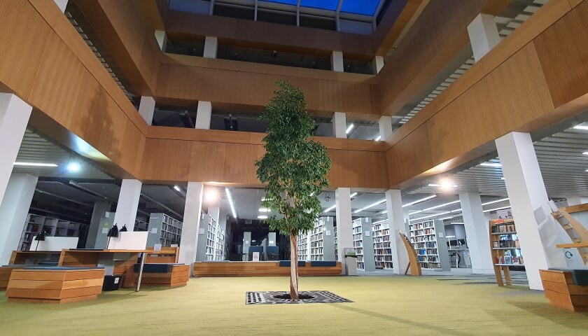 An image of the library tree