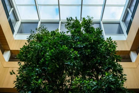 Library Festival 2024