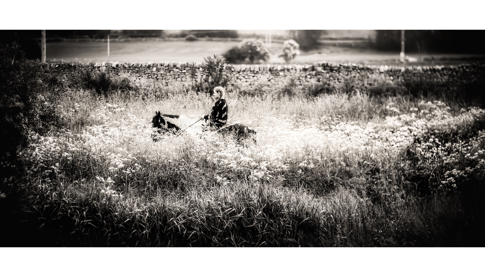 A woman riding a horse through a field.