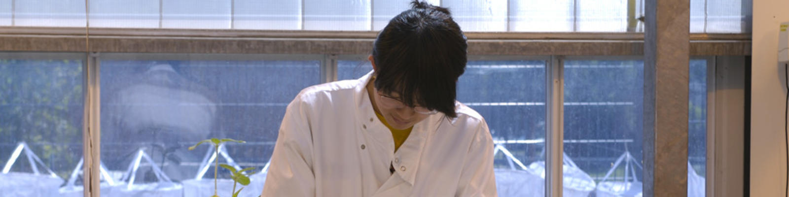 researcher working with plants