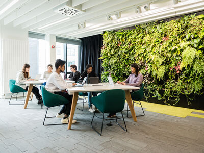 Image of Norma tree and study spaces in Library