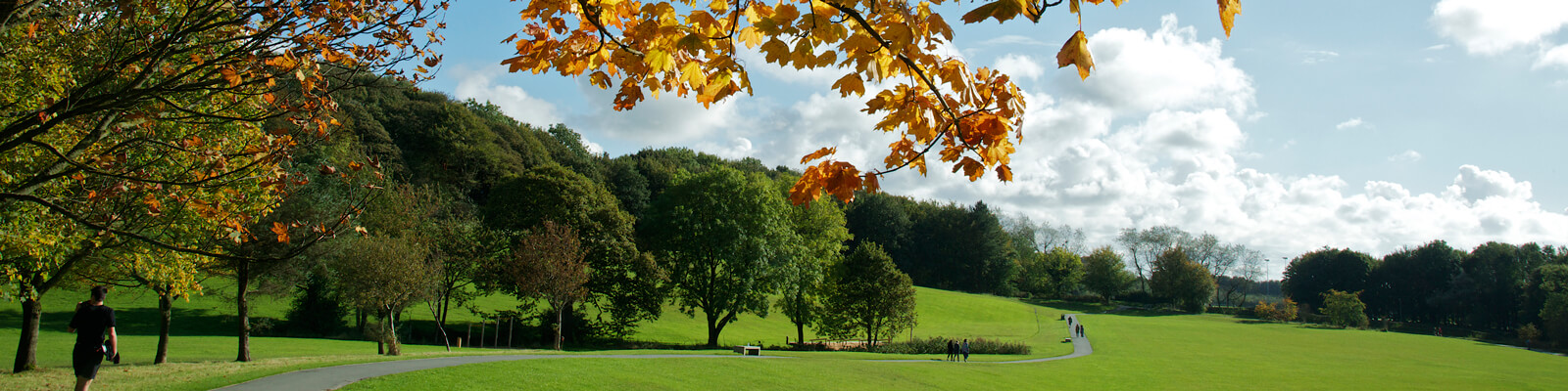 Campus in the autumn