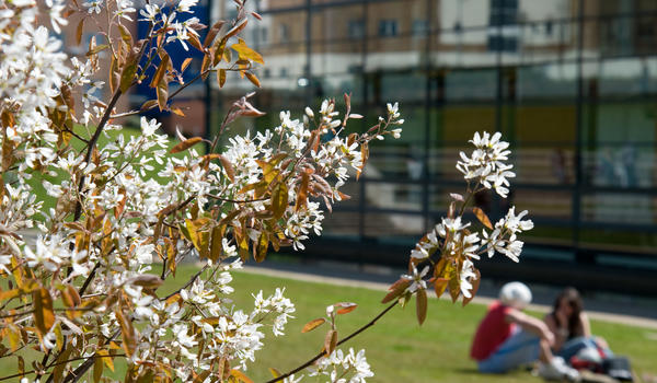 lancaster uni linguistics phd